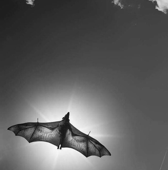 Meet your Posher - Picture 1 of 1